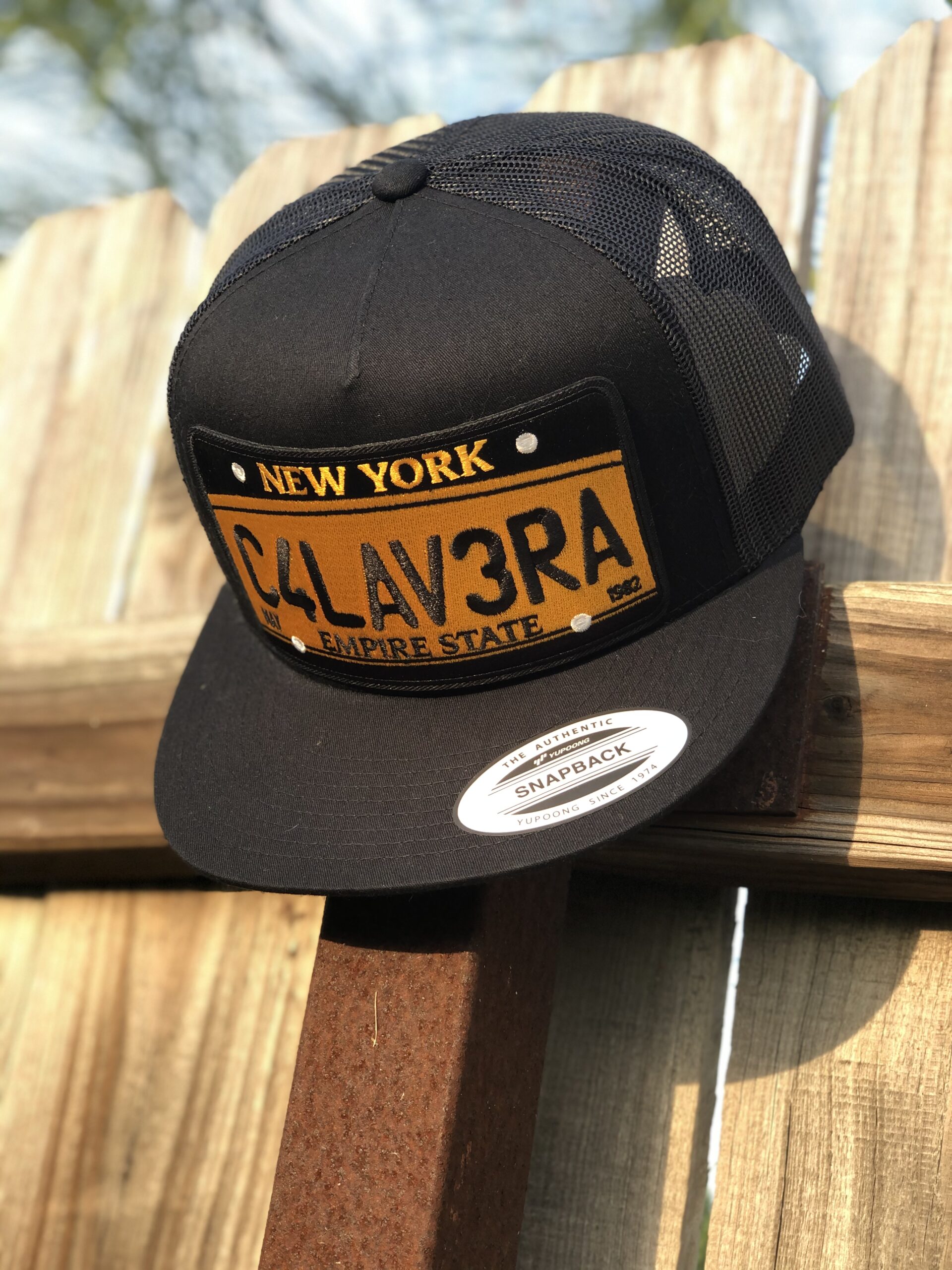 New york 2024 state hat